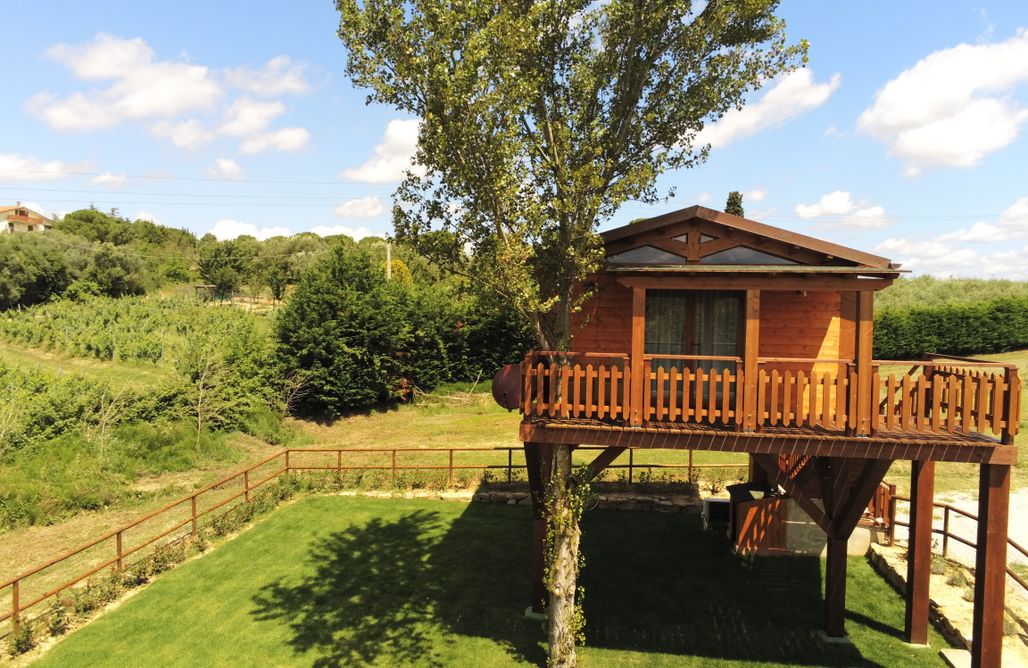 AlohaCamp CASA sull' ALBERO  3