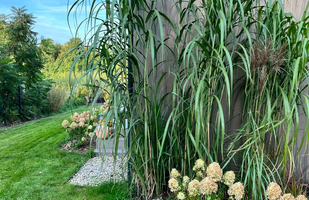 noclegi AlohaCamp Zielony Domek nad jeziorem Mazurskie Klimaty 1