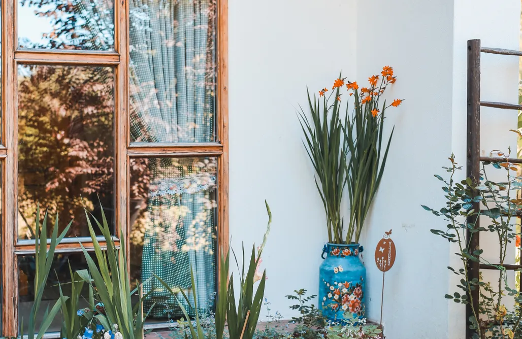 Hébergement AlohaCamp Ferienhaus mit  Terrasse in der Mitte der Natur 3
