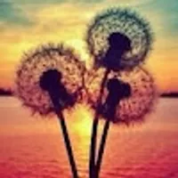 Patrycja użytkownik