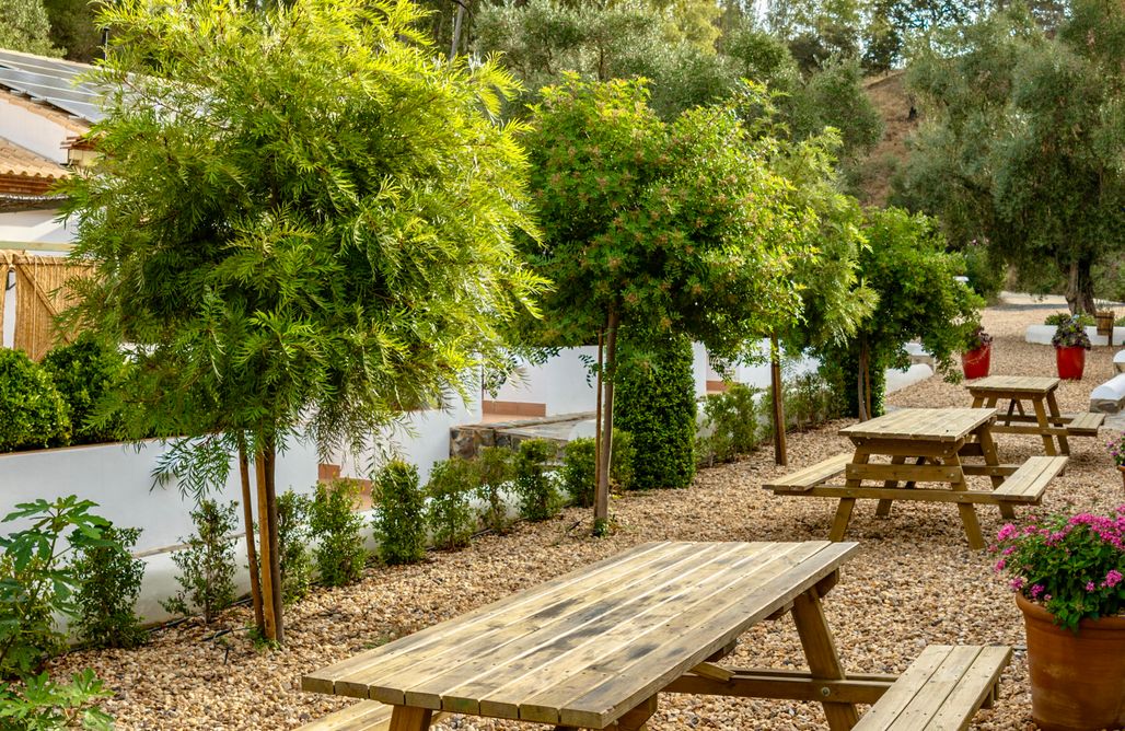 alojamientos AlohaCamp Finca Contrabando 1