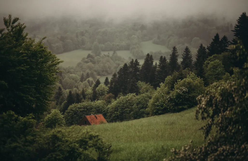 Alloggi AlohaCamp Mech i brzoza 4