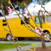 Angel propietario El Respiro de Merakibus