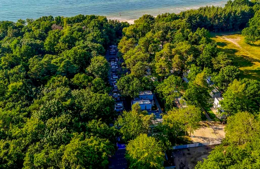 Zdjęcie obiektu Baltic Forest