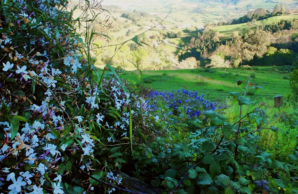 Unterkunft AlohaCamp Alojamiento Mirador de Peña Crespa para 6 personas 1