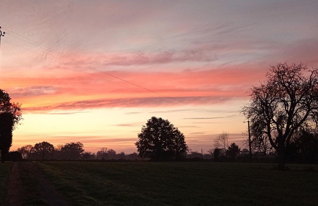 Honey Suckle Hideaway AlohaCamp