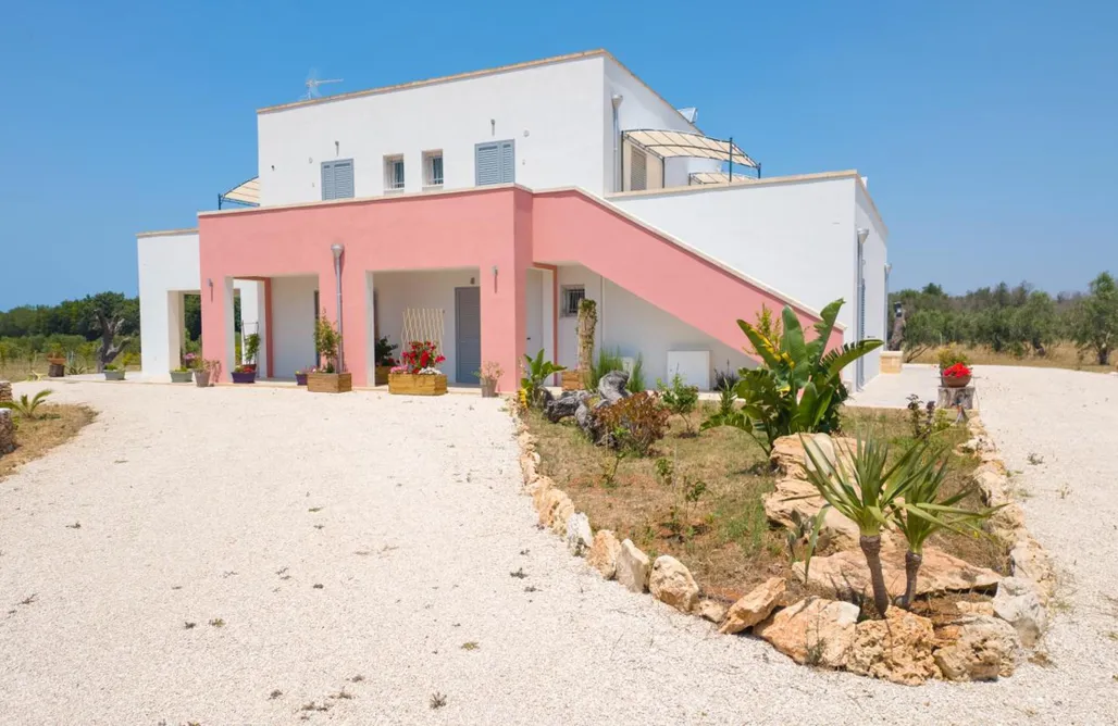 Notte di San Lorenzo 2026 💫 Agriturismo Tenuta Arbanoa 2