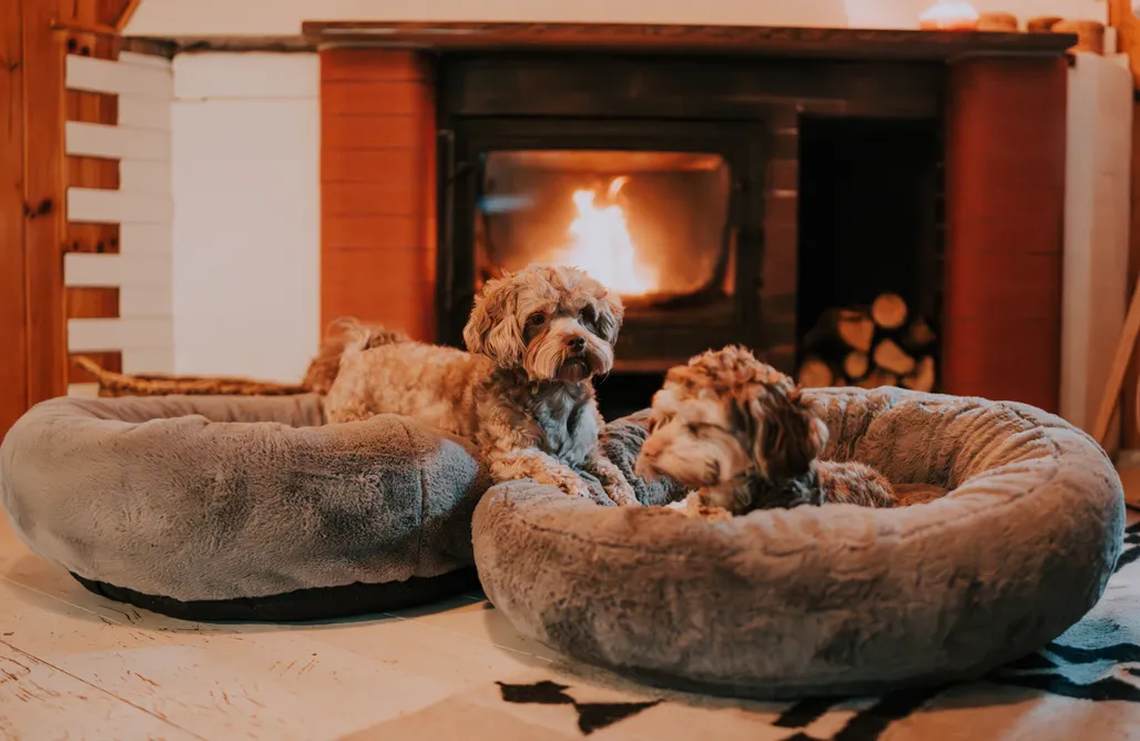 Alloggi AlohaCamp Domek Kartowo 1