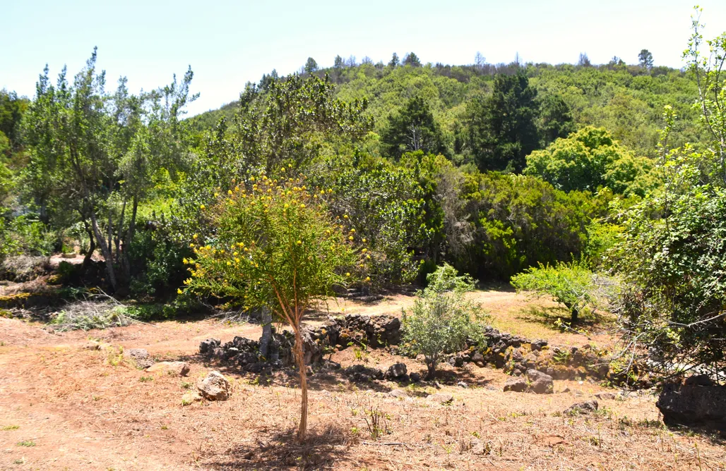 AlohaCamp Casa Roja 1