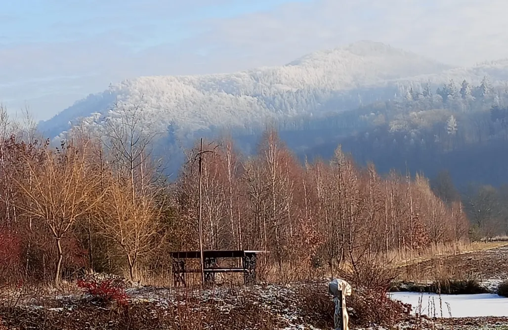 Hotel Polanica Domek w owocowym zagajniku 1
