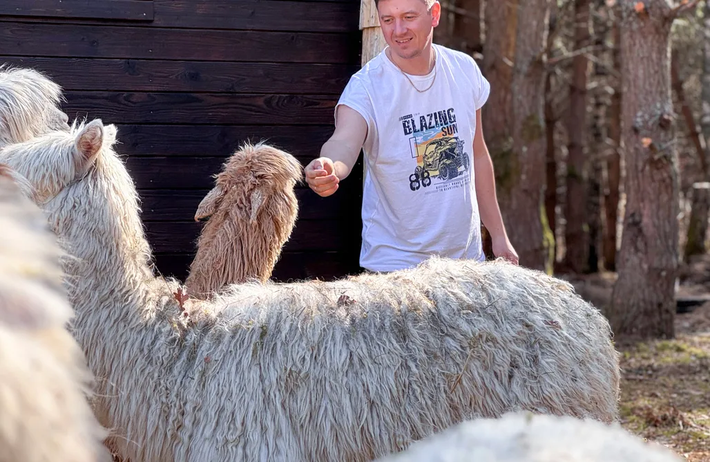 Rusinowo noclegi Domek w lesie z alpakami 1