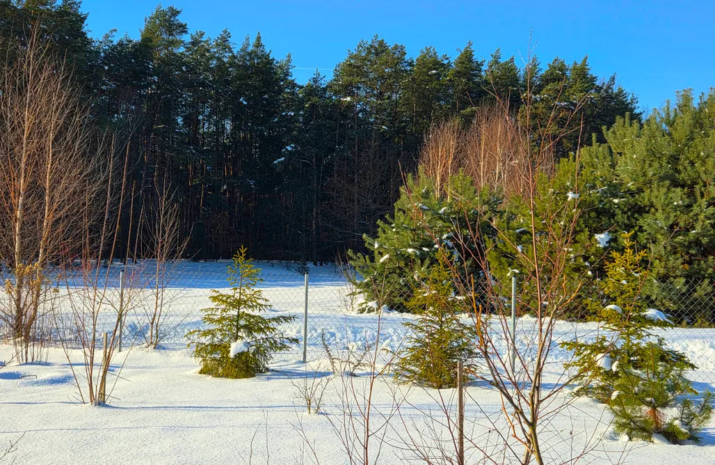 hebergement AlohaCamp Domek pod lasem 1