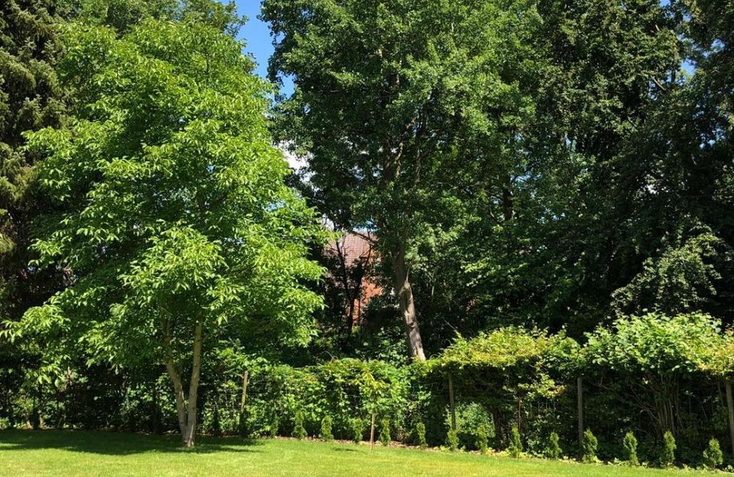 Unterkunft AlohaCamp Ferienhaus Bäk-Ratzeburg 4