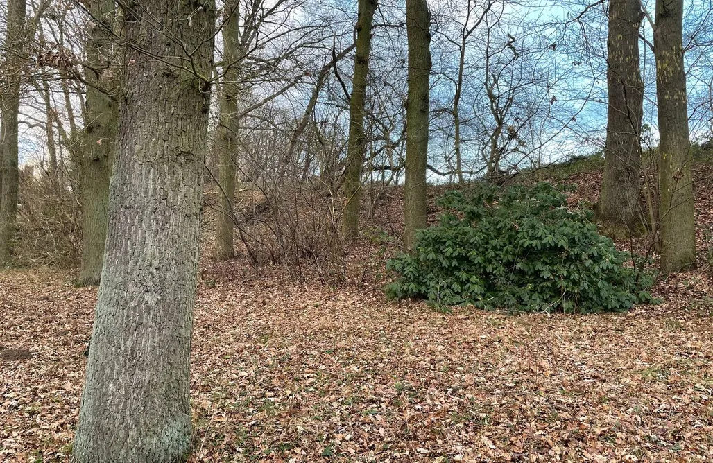 Landhaus Alte Kate mit Sauna  1