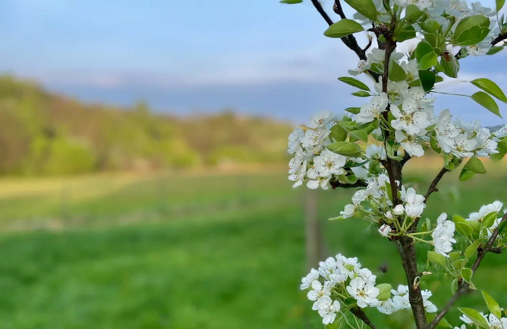 Apartament z Jacuzzi Kraków Podolany Dom 1
