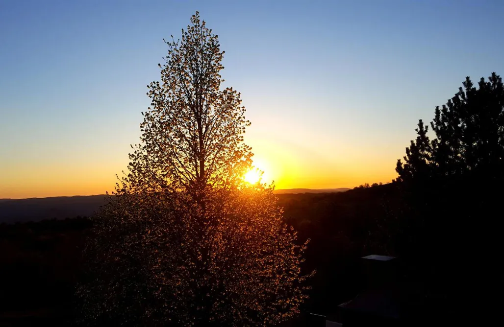 AlohaCamp accommodation 4 Seasons House 1