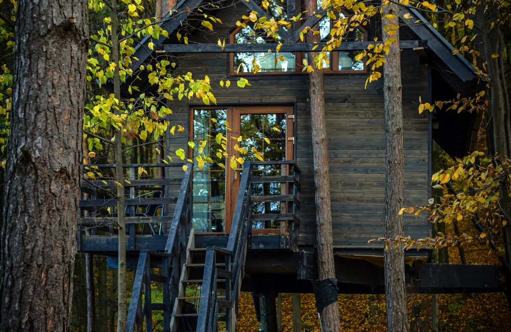 AlohaCamp Domek na drzewie 1