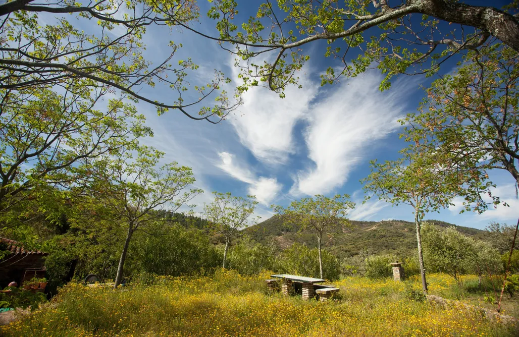 AlohaCamp accommodation Casa El Águila en Molino Rio de Alájar  1