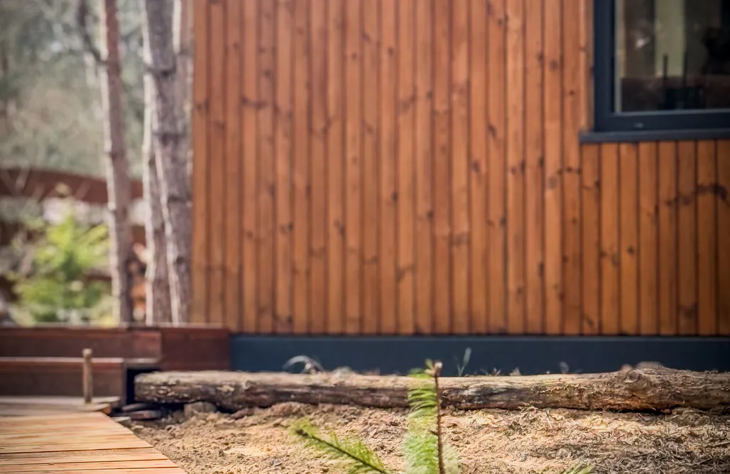 AlohaCamp Kwiat Sosny 1