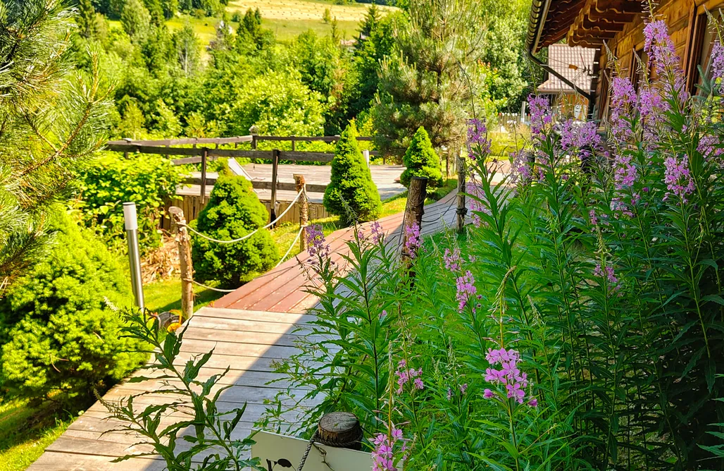 noclegi AlohaCamp Czarna Owca Istebna 5