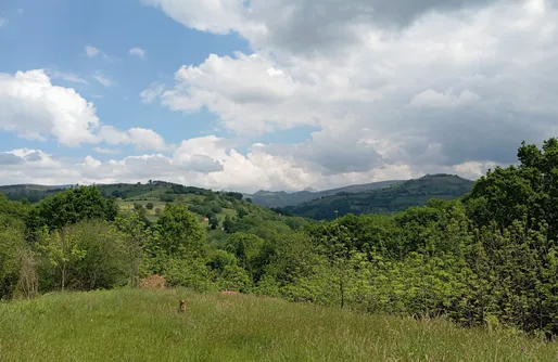 Imagen de Sitio para tiendas de campaña - La Arrulla