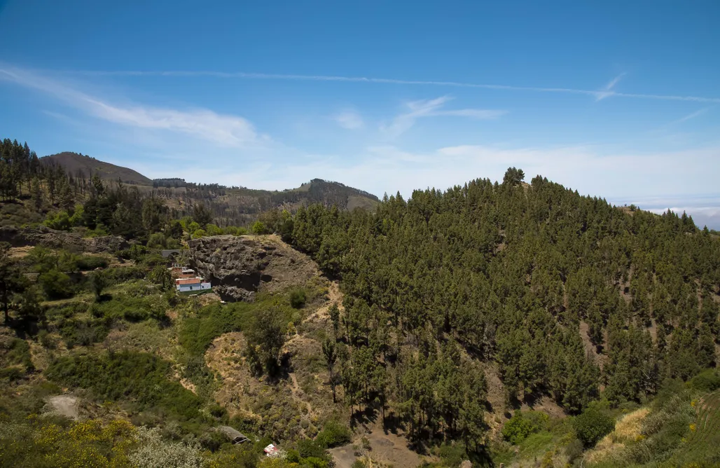 AlohaCamp Habitación doble - Camas individuales 1