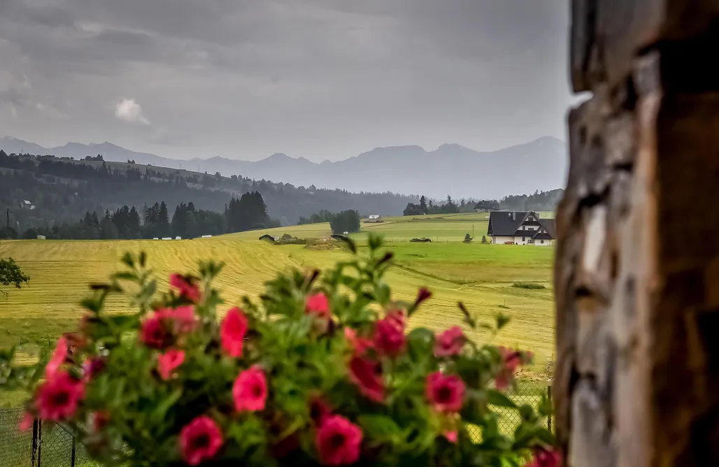 noclegi AlohaCamp Domek u Jarosza 1