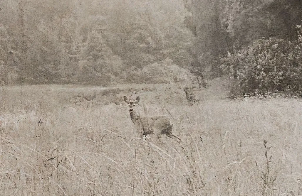 noclegi AlohaCamp Masurian District - Leśny domek - workation home office 1