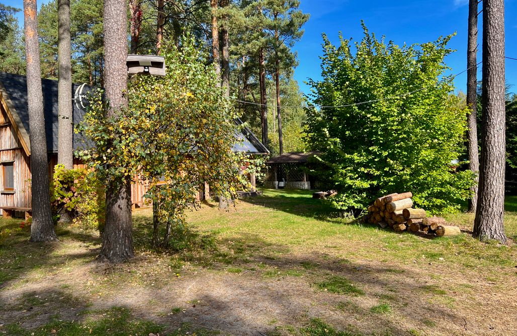 Hébergement AlohaCamp Miotkowo 1