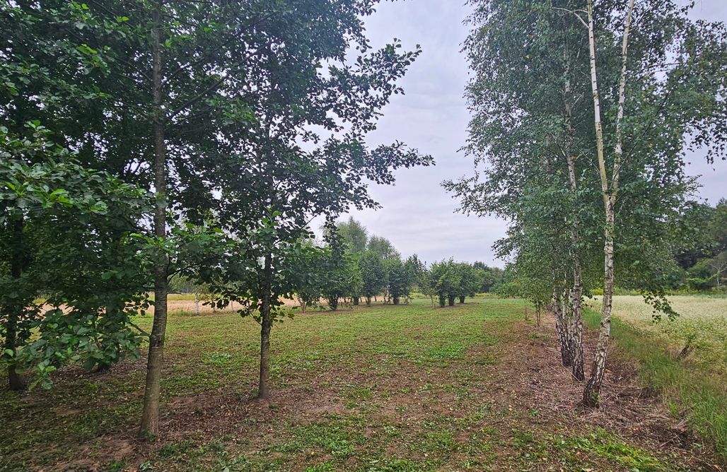 noclegi AlohaCamp Miejsce kamperowe - MyLovy 5