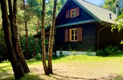 Zdjęcie obiektu Flying Moose/Latający Łoś