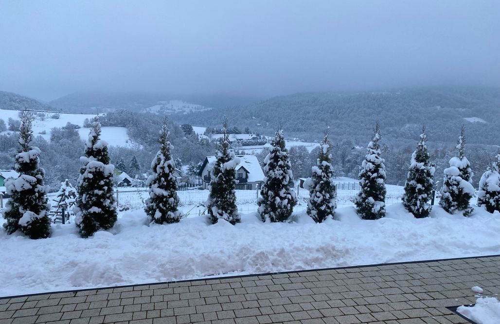 AlohaCamp Domek z jacuzzi 1