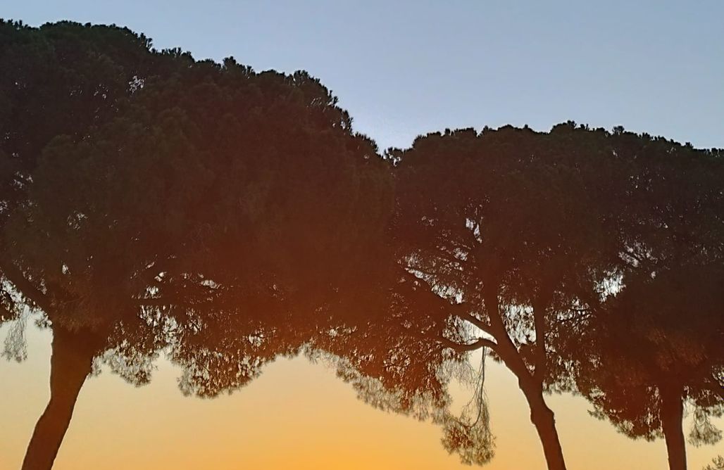 alojamientos AlohaCamp El Respiro de Merakibus 1