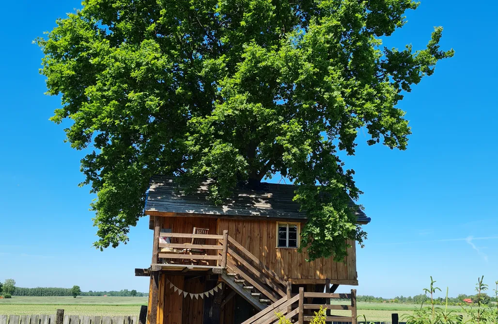 noclegi AlohaCamp Domek na drzewie z ręcznie rzeźbioną drewnianą wanną 4