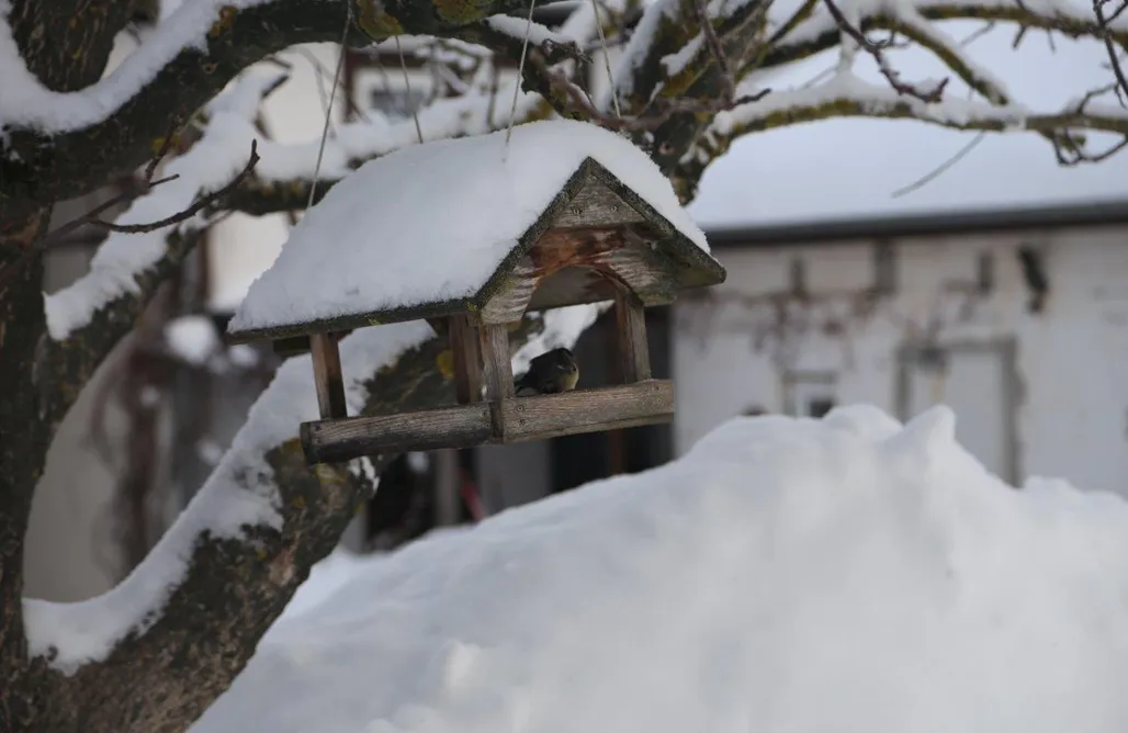 Borne noclegi Landhaus Liwet 3