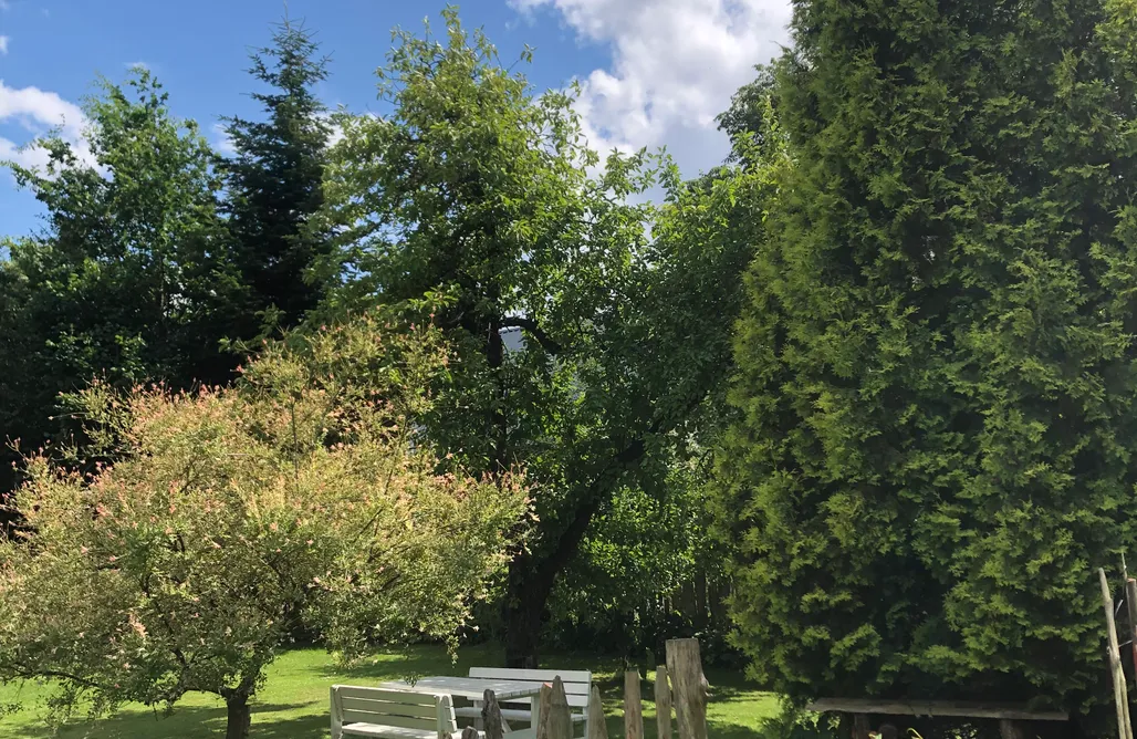 Weekend Dla Dwojga Roztocze Pszczoła i Przyjaciele  3