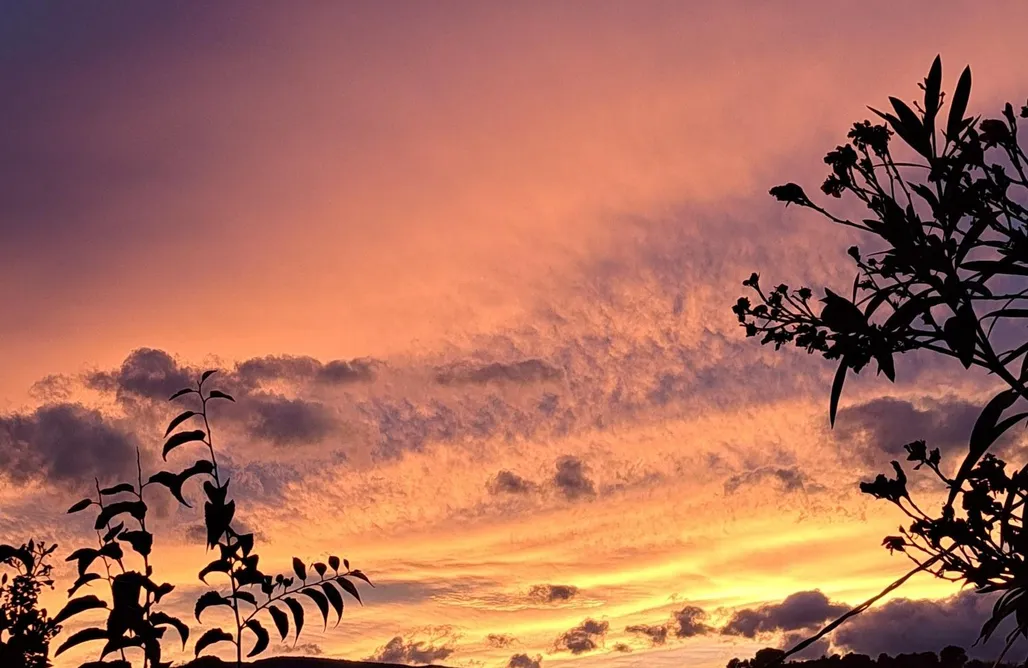 alojamientos AlohaCamp Paraje Del Almendral Casa Grande 1
