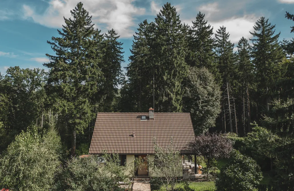 AlohaCamp Sobótkowe Zacisze 2