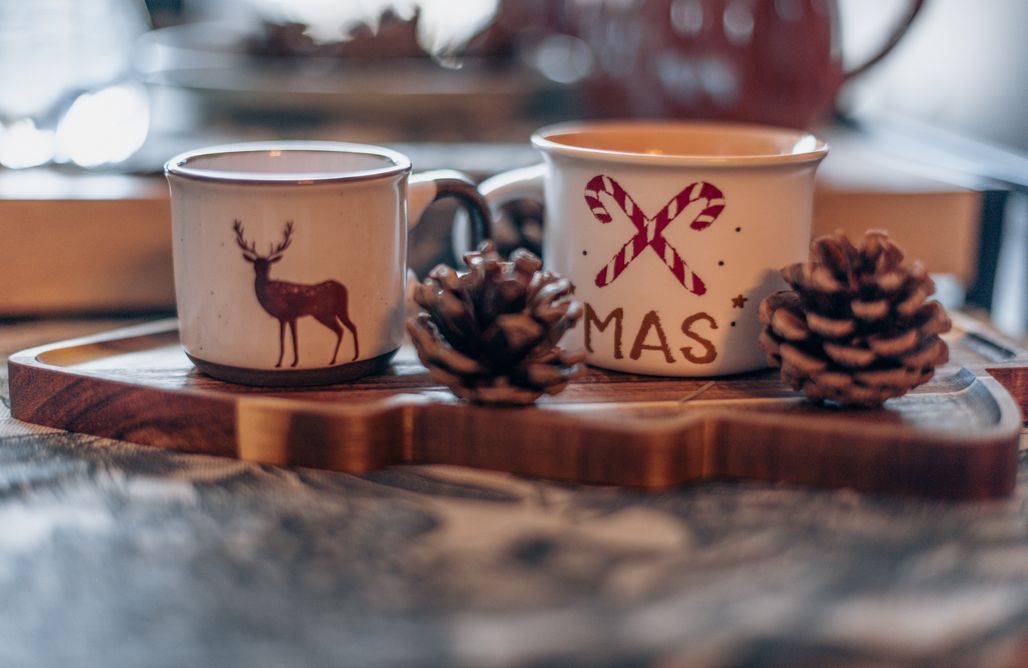 AlohaCamp Apartament Bieniatka z kominkiem 1