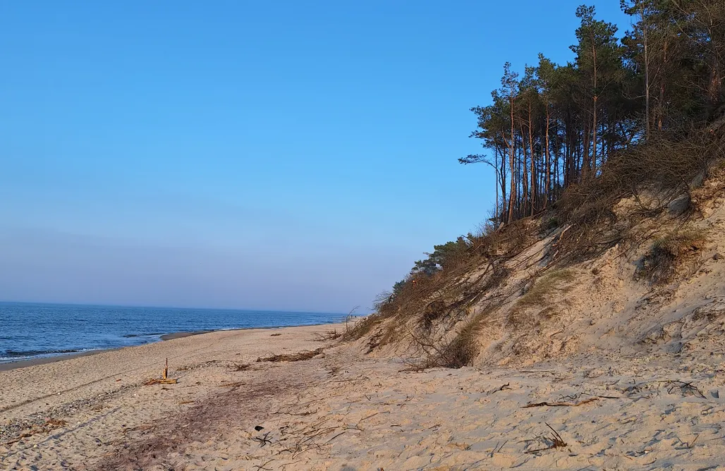 AlohaCamp Bodychówka 1