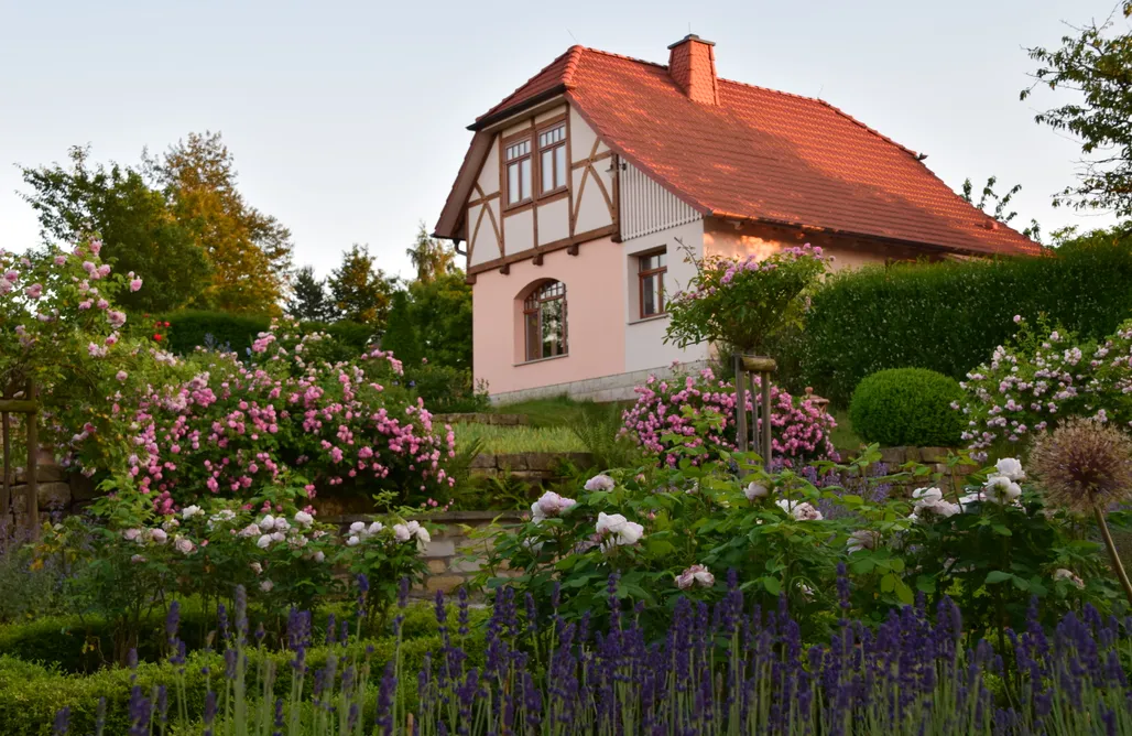 Glamping Gartenparadies Villa Taubenberg  2