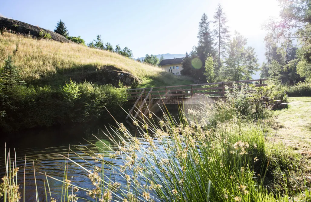 Location Vacances Chalet Astrid 3