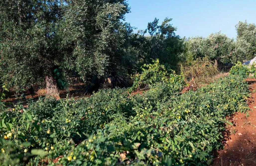 Glamping Sicilia LaCorte di Ninetta. 1