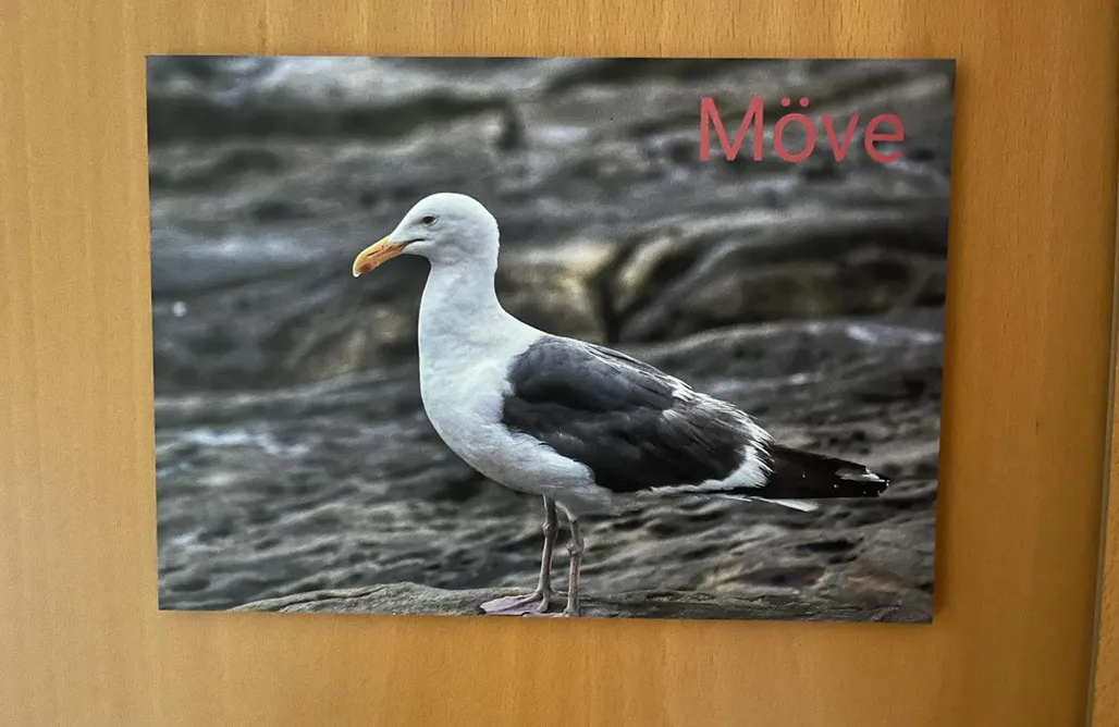 AlohaCamp Möve – das kleine, gemütliche Raumwunder im Dachgeschoss 1