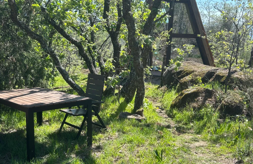 AlohaCamp Vera Grande 4 1