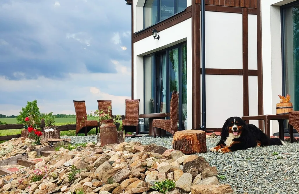 Unterkunft AlohaCamp Anielska Przystań - spokojny reset 4