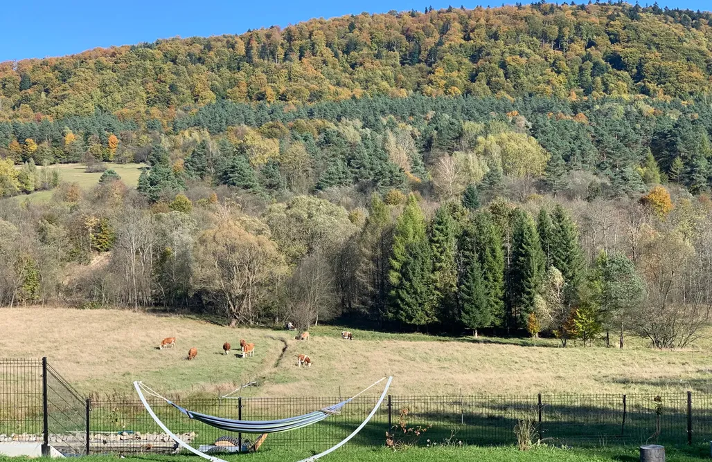 AlohaCamp Domek Veron 1