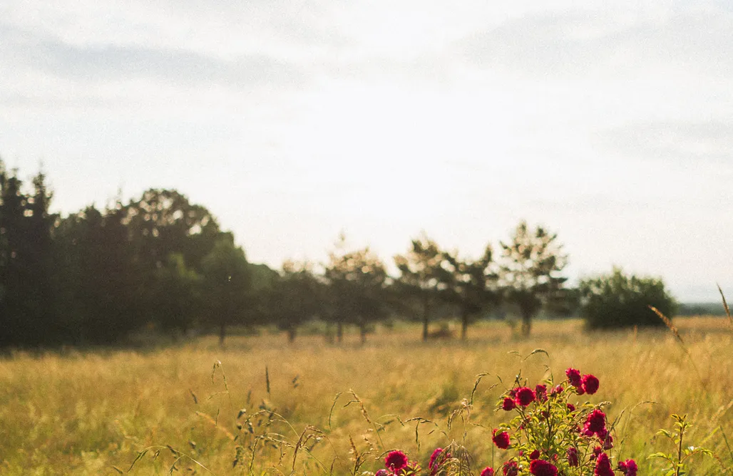 noclegi AlohaCamp Domek Kwieci 4
