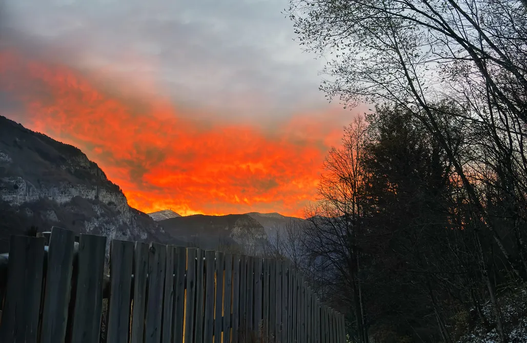 AlohaCamp Camera DELUXE 1