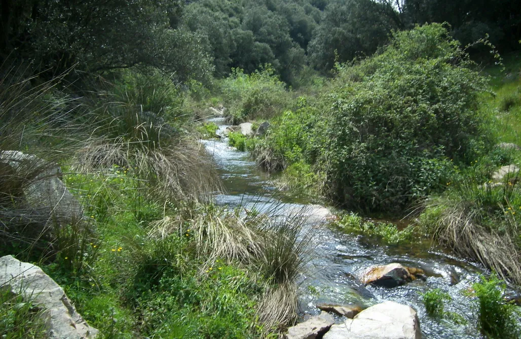 Hoteles en Getafe Casa Rural Hoz de la Pinilla 3